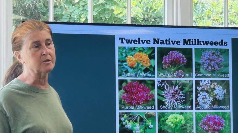 Kathleen Contrino from CW Native Plant Farms