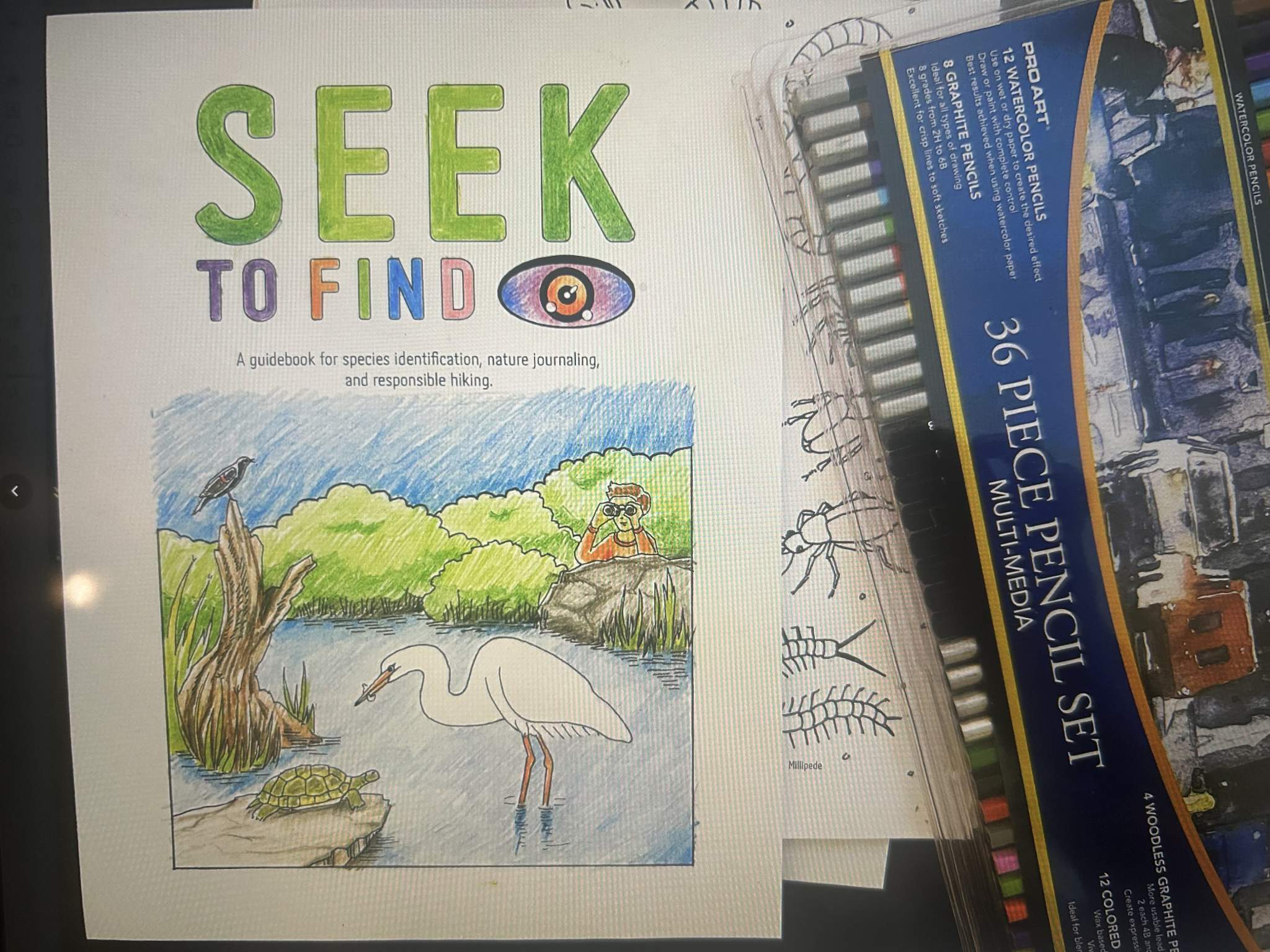 'SEEK TO FIND' keeps going.